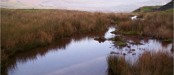 The Mam Tor